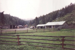 Another-ranch-in-WA