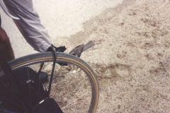 Bird-eating-from-my-hand