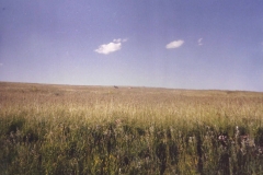 Game-preserve-SD-1