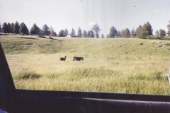 Game-preserve-SD-3