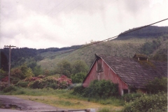 Logging-area-Washington