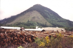 Logging-in-Washington-2