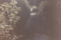 Mountain-Stream-WA