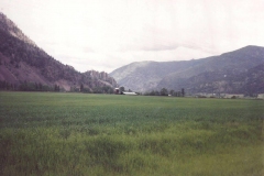 Valley-pasture-MT