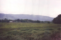 Washington1